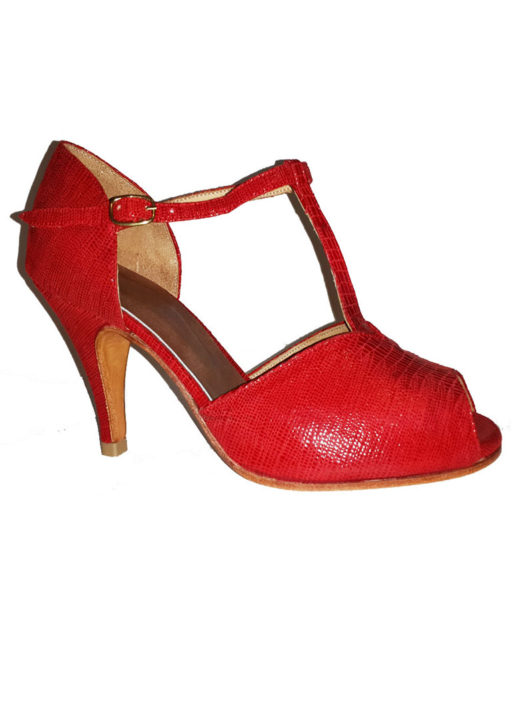zapatos de mujer de tango salsa fiesta